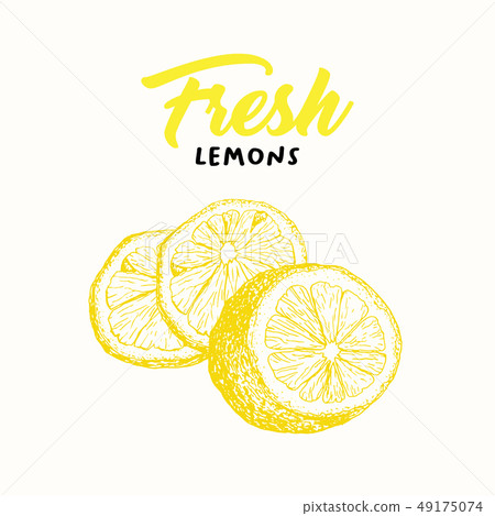 Fresh lemon color vector illustration 49175074