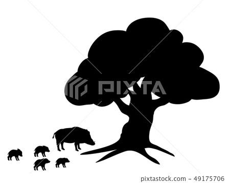 Boars wildlife black silhouette animal Boars wildlife black silhouette animal 49175706