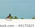Resort bird 49175825