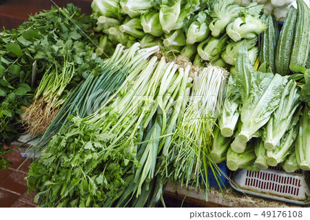 Leafy vegetables 49176108
