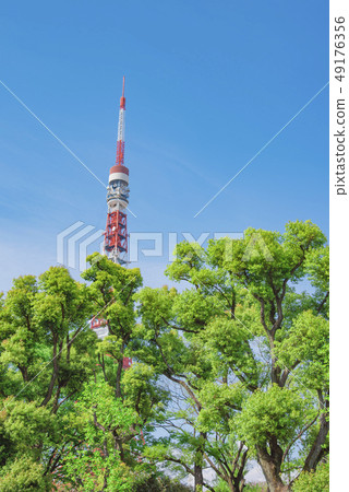 [東京鐵塔鮮綠色] 49176356