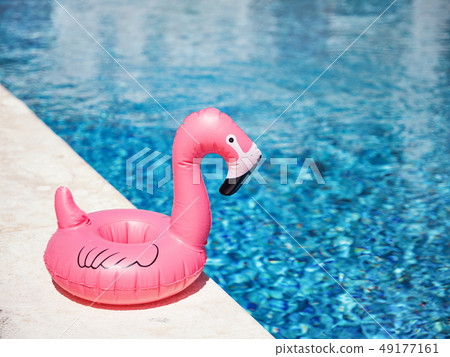 Inflatable toy of pink flamingo near swimming pool Inflatable toy of pink flamingo near swimming pool 49177161