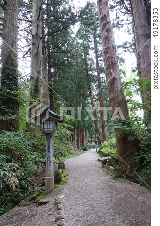 九頭獅子草 九頭獅子草 49178353