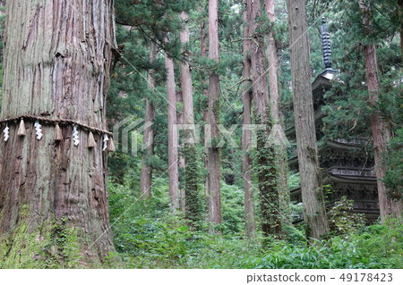 Hakuroyama Hakuroyama 49178423