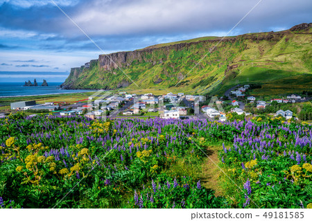 Beautiful town of Vik i Myrdal Iceland in summer. Beautiful town of Vik i Myrdal Iceland in summer. 49181585