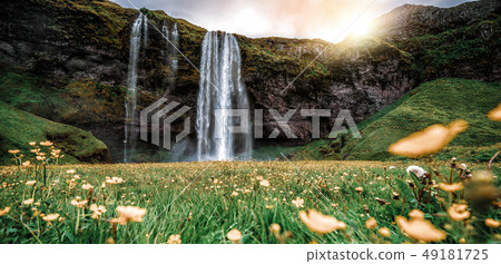 Magical Seljalandsfoss Waterfall in Iceland. 49181725