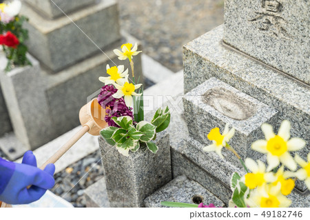 Visit the grave water the flowers Visit the grave water the flowers 49182746