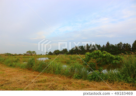 Fish nets, ponds, reservoirs, rural areas, Fish nets, ponds, reservoirs, rural areas, 49183469