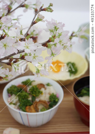 Under the cherry blossoms-rape Scallop rice cake 49183774