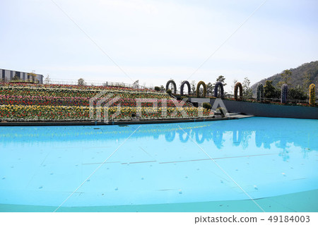 Flower lagoon 49184003