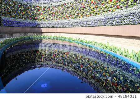 Laguna Ten Bosch 49184011