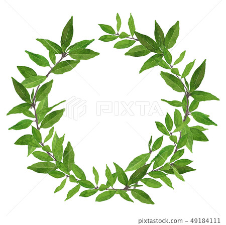 Laurel wreath laurel wreath 49184111