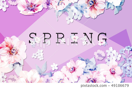 優雅的玫瑰花花卉 優雅的玫瑰花花卉 49186679