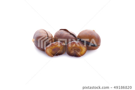 chestnut edible isolated on white background chestnut edible isolated on white background 49186820