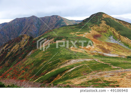 Autumn Asahi Mountain Peak Road to the summit of Mt. Asahi, see the image of Mt. Nishi Asahi at the branch to Mt. Autumn Asahi Mountain Peak Road to the summit of Mt. Asahi, see the image of Mt. Nishi Asahi at the branch to Mt. 49186948