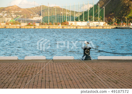 Pier and gull Pier and gull 49187572