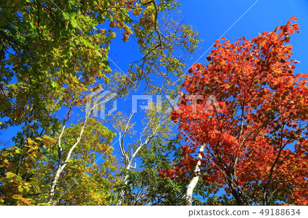 Teshikaga-cho Fall Kawayu Onsen Blue sky and colored leaves 49188634