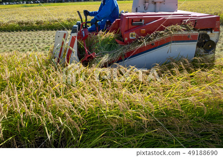 combine, combine harvester, fall 49188690