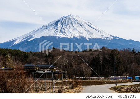 Mount Fuji (Narusawa Village) Mount Fuji (Narusawa Village) 49188733
