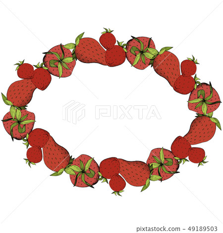 Vector Strawberry fresh fruit healthy food. Red and green engraved ink art. Frame border ornament Vector Strawberry fresh fruit healthy food. Red and green engraved ink art. Frame border ornament 49189503