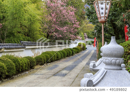 Suishinin Plum Garden 49189802