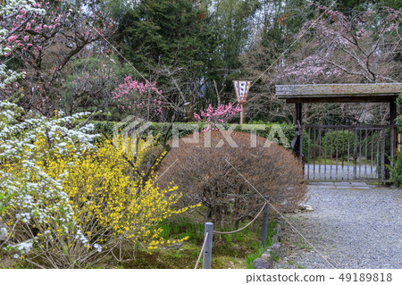 Suishinin Plum Garden 49189818