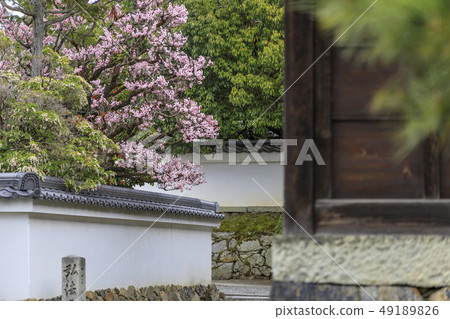 Suishinin梅花園 49189826