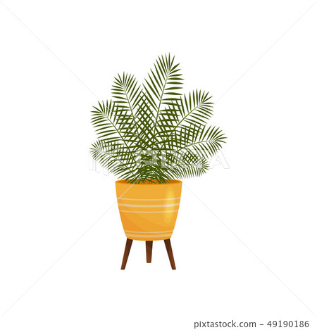 Houseplant on white background. Vector flat illustration. Houseplant on white background. Vector flat illustration. 49190186