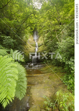 九層瀑布 49190845