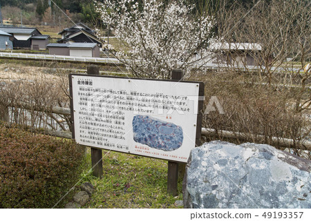 Kinmochi Shrine / Kinmochi Kouiwa (Tottori Prefecture) Kinmochi Shrine / Kinmochi Kouiwa (Tottori Prefecture) 49193357