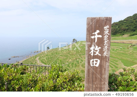 Notation of the signboard and the white rice senmaida Notation of the signboard and the white rice senmaida 49193656