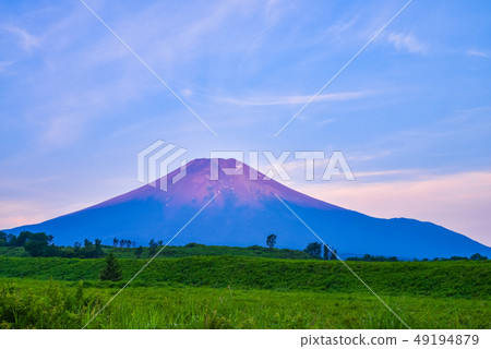(Yamanashi Prefecture) Mt. Fuji at dawn and summer in Risashihara (Yamanashi Prefecture) Mt. Fuji at dawn and summer in Risashihara 49194879