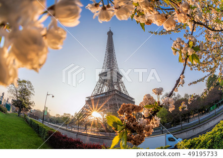 Eiffel Tower during spring time in Paris, France 49195733