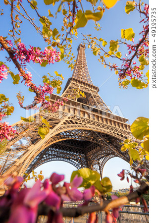 Eiffel Tower during spring time in Paris, France 49195735