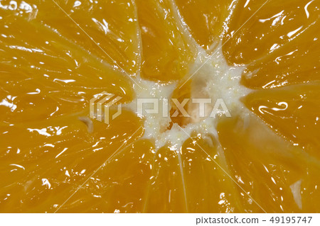 cut orange fruit close-up cut orange fruit close-up 49195747