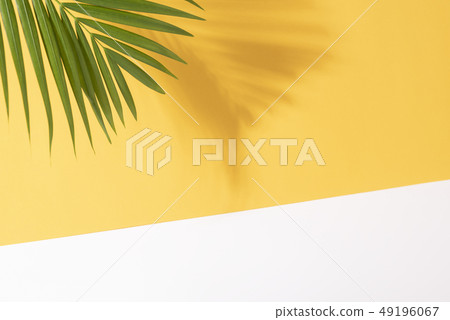 Green tropical palm leaves on yellow background Green tropical palm leaves on yellow background 49196067
