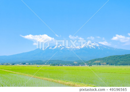 Mt. Chokai in early summer seen from Sakata City 49196565