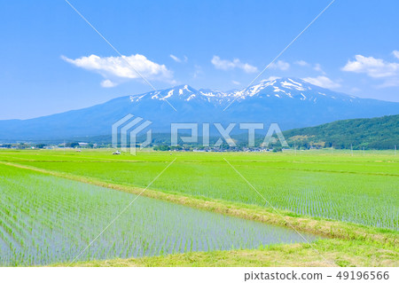 從坂田市看到的初夏的Chokai山 49196566