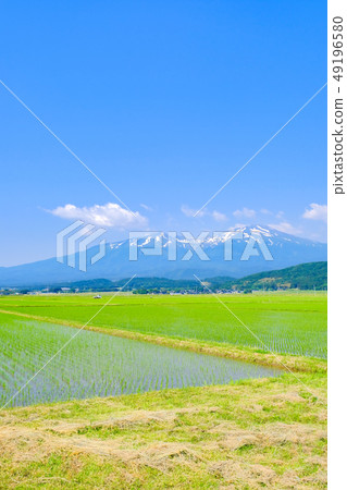 Mt. Chokai in early summer seen from Sakata City 49196580