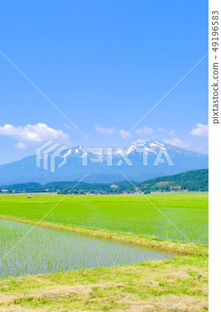 Mt. Chokai in early summer seen from Sakata City Mt. Chokai in early summer seen from Sakata City 49196583