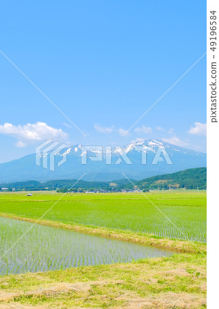 Mt. Chokai in early summer seen from Sakata City Mt. Chokai in early summer seen from Sakata City 49196584