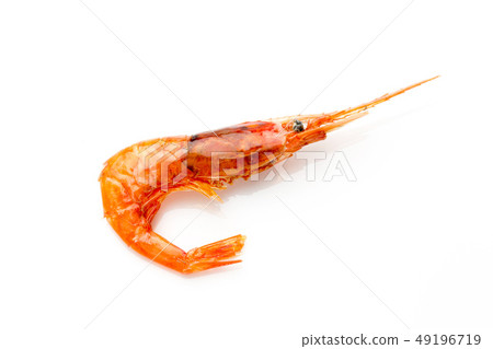 Dried sweet shrimp 49196719