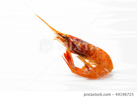 幹甜蝦 幹甜蝦 49196725