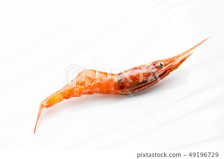 幹甜蝦 幹甜蝦 49196729