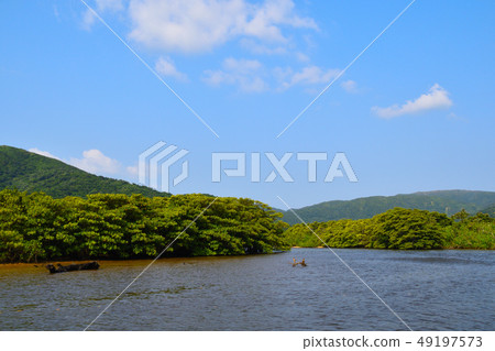 西表島 西表島 49197573