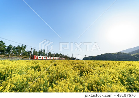 強姦領域和火車 強姦領域和火車 49197676