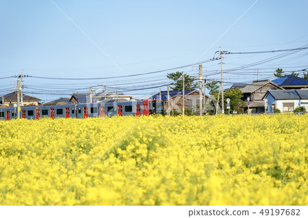 Rape field and train 49197682