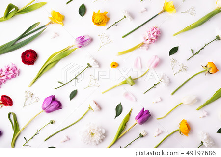Easter and spring flat lay on a white background. 49197686