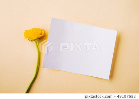Easter and spring flat lay on a cream background. Copy space. Easter and spring flat lay on a cream background. Copy space. 49197688