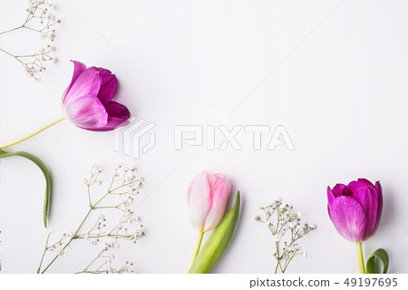 Various spring flowers on a white background. Copy space. 49197695